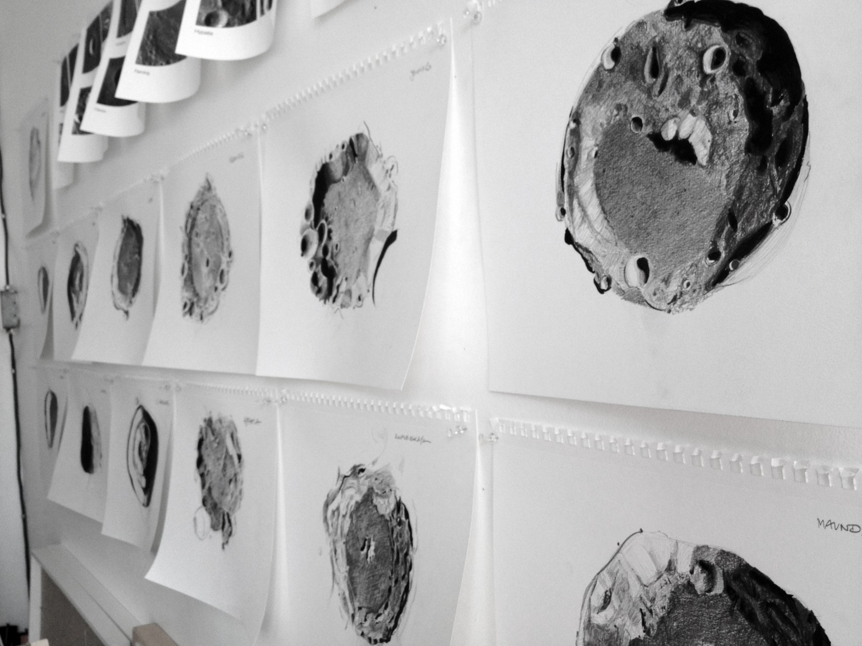 Drawings of moon craters pinned to a wall